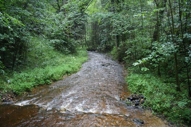 Ein Bach in der Talaue