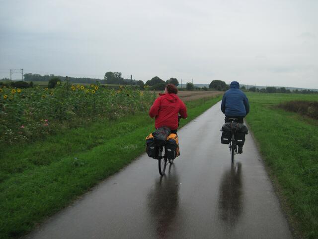 Alles nass und grau