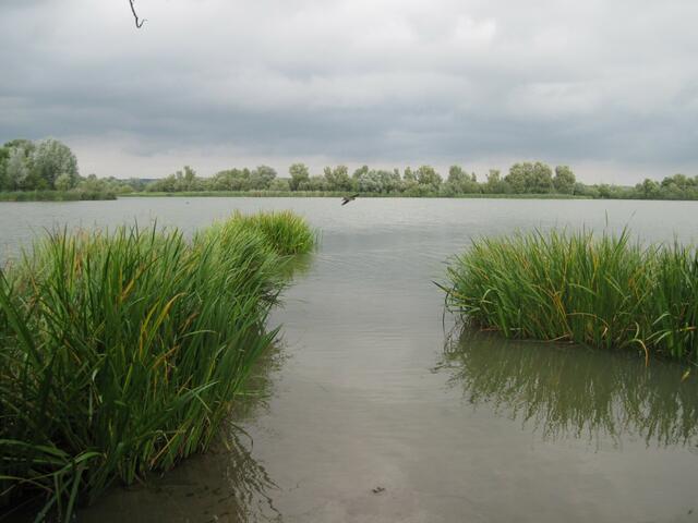Altmühlsee