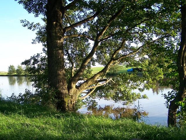 Idylle am Weiher