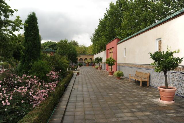 Blüten und Duft Zauber.