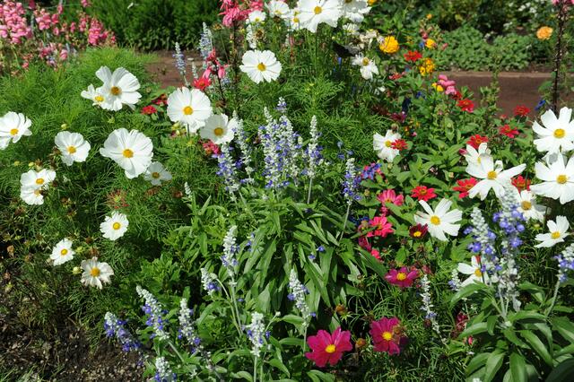 Bunte Beete soweit das Auge reicht.