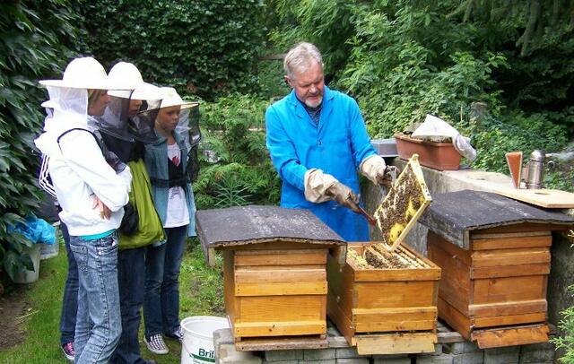 Imker Georg Mordstein erklärt den Kindern das Bienenjahr.
