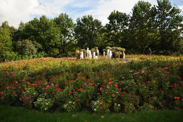 Der Brunnen umringt mit Blumen.