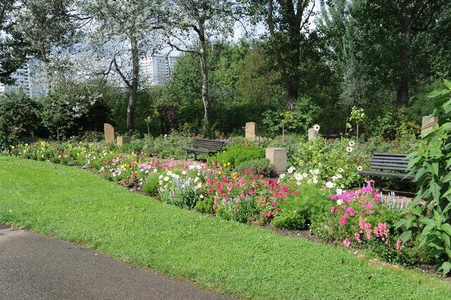 Viele kommen mit einen Picknickkorb.