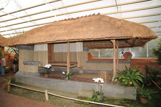 Feucht, warm und viele Orchideen.