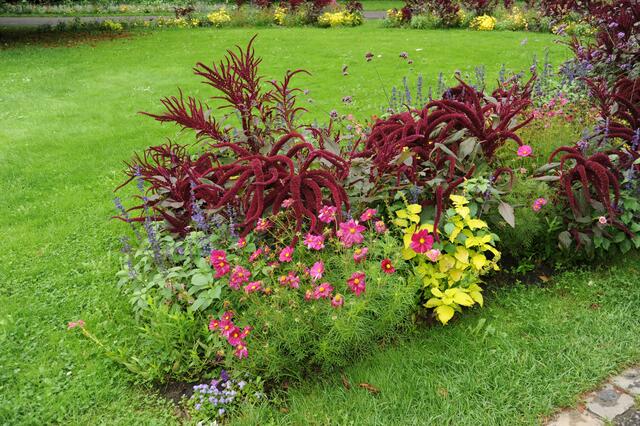 Blumen und Pflanzen die man nicht immer sieht.