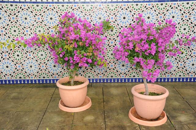 Die Töpfe würde jeder gerne mit nehmen.