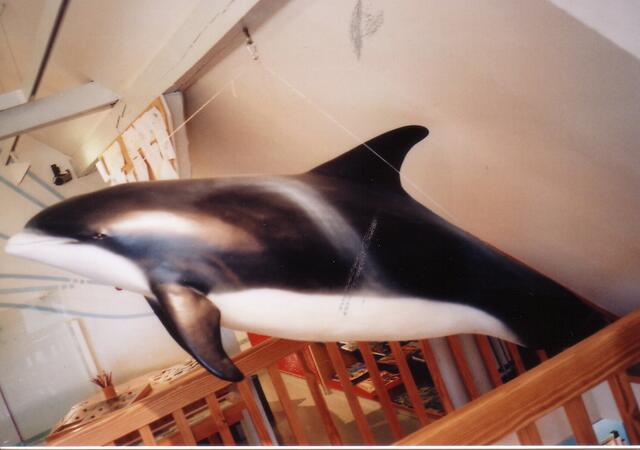 Treppenaufgang in die obere Etage, mit vielen Fotos und Informationen