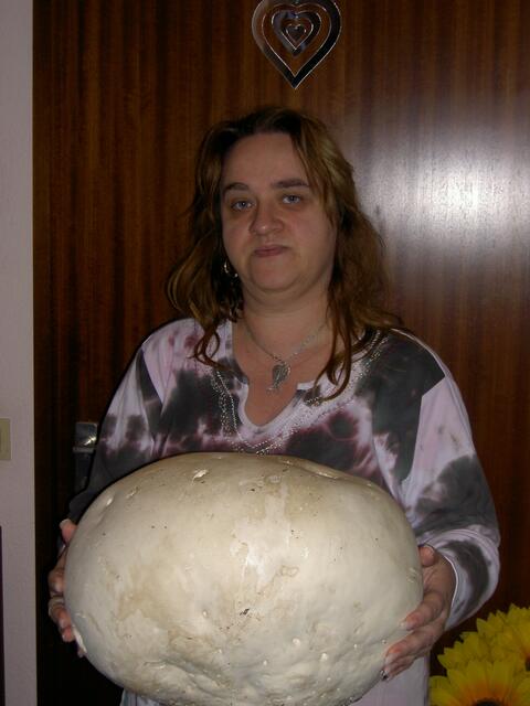 Ich und der Pilz