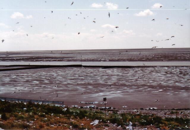 Bei Ebbe ist das Wasser Kilometer weit im Norden