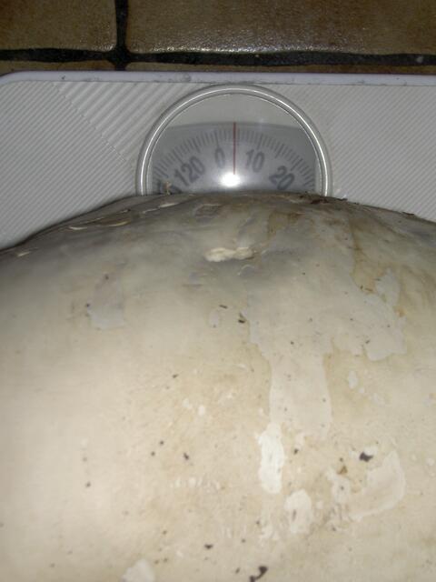 Schaut mal hier, 4 kg schwer