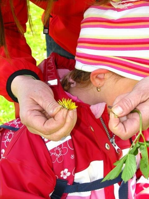 Blumen-Ohrringe ankleben