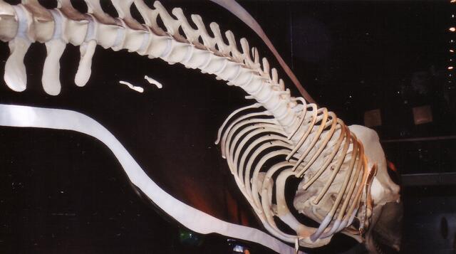 Alles passte nicht auf meine Kamera