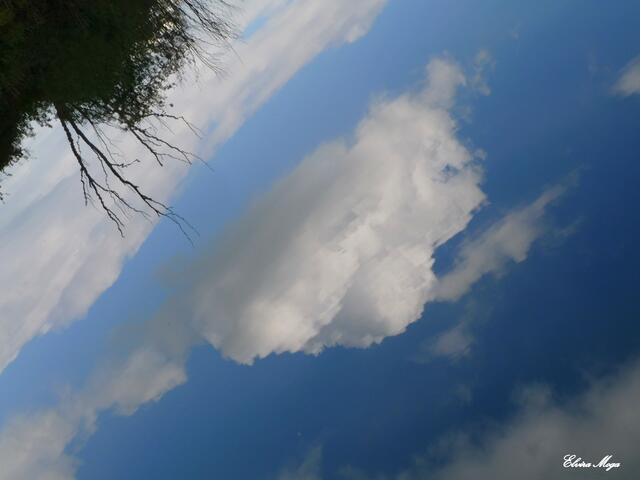 Verdrehte Welt...