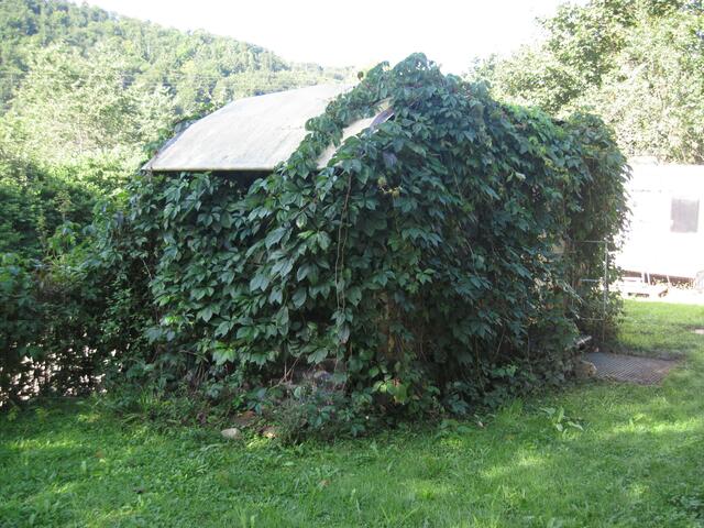 Ein Dauercamper?