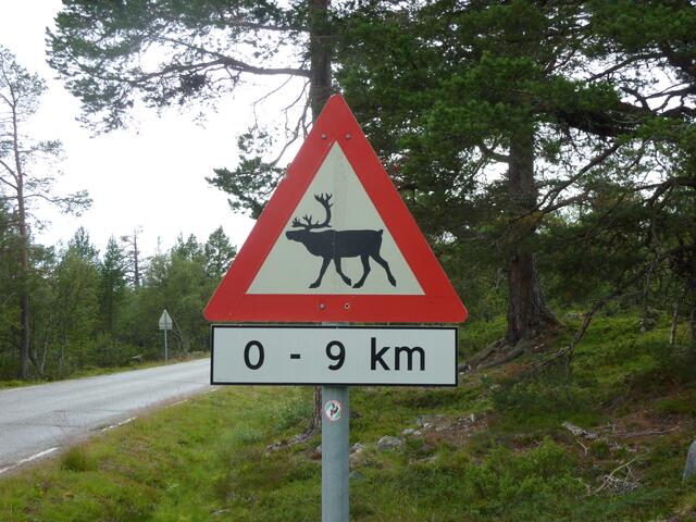 Vor Renen wird gewarnt