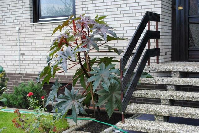 Blick in Nachbars Garten!