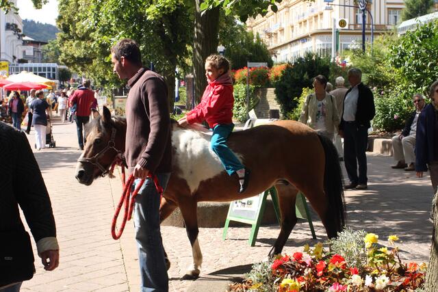 Ponyreiten im Kinderland
