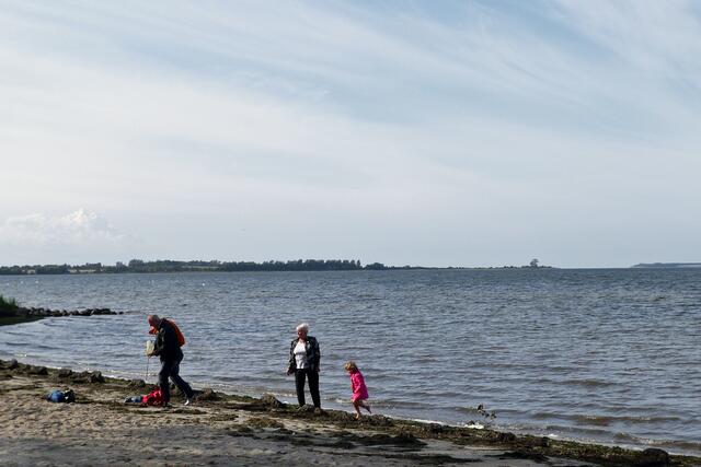 Allerlei Angeschwemmtes zu entdecken, bietet Abwechslung beim vorherbstlichen Strandspaziergang.