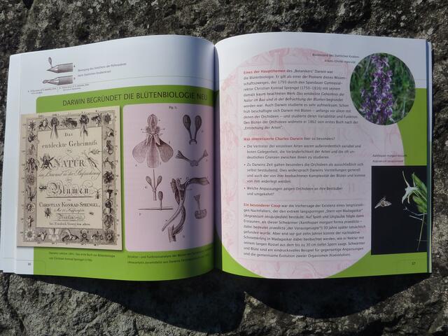 DARWINs Orchideenbuch 1862 (...). Am BoGa-Kassenhäuschen zu erwerben: „DARWINS GARTEN – Evolution entdecken“ – Verband Botanischer Gärten e.V. (Hrsg.) zum Darwinjahr 2009.