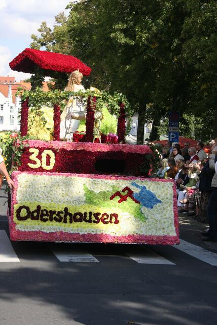 Der "Froschkönig"