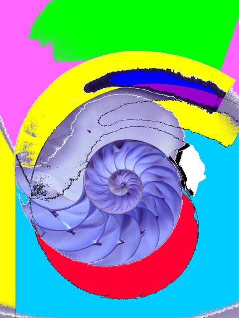 Nautilus - siehe HAWKING und Nautilus, Bemerkungen im Artikel.