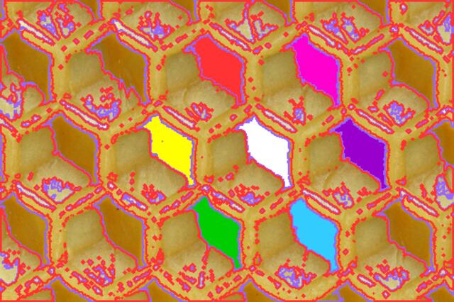 Bienen-"Kunst". Vgl. W.H. in (1), Kap. 5.3.(1989/1998).
