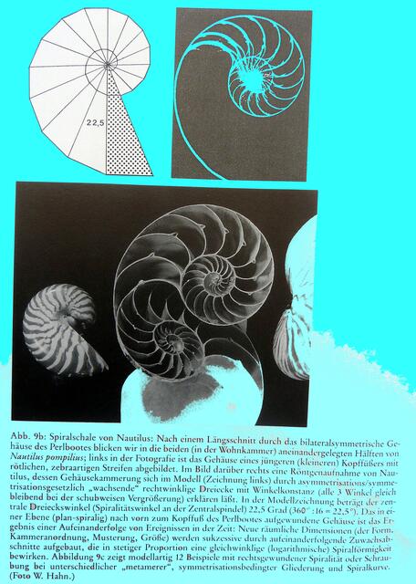 NAUTILUS: EST-Buch S. 274 - Artikel Werner Hahn.