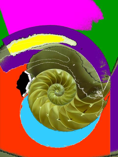 Nautilus gespiegelt - "Spiegelwelt" (...). a&s-Malerei W.H.