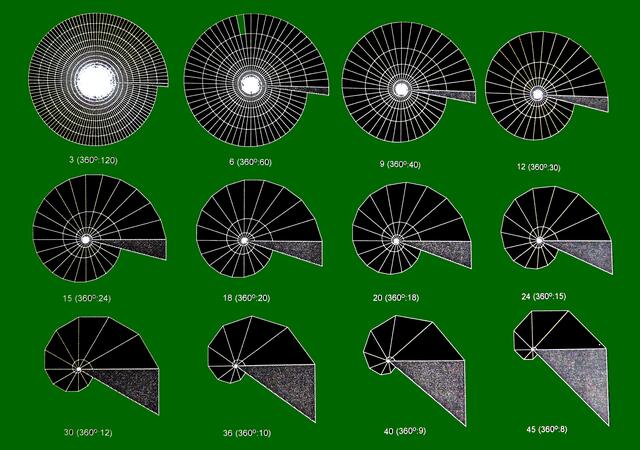 Spiralschalen-Wachstum - Modellbeispiele; siehe Artikeltext hierzu. Evolutionäre Vielfalt von Spiralität bei schalentragenden Schnecken; siehe Legende in W.H. Homepage: EST-Artikel Abb. 9c.