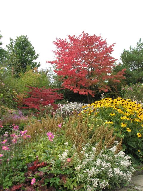 Herbst im Park der Sinne (©Katja Woidtke)