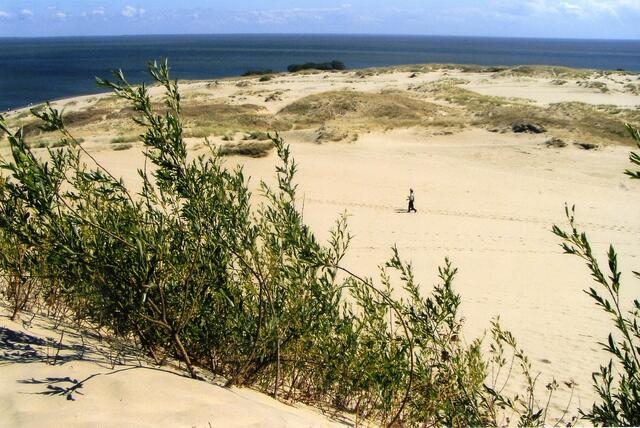 ....und ist die mächtigste Wanderdüne Europas