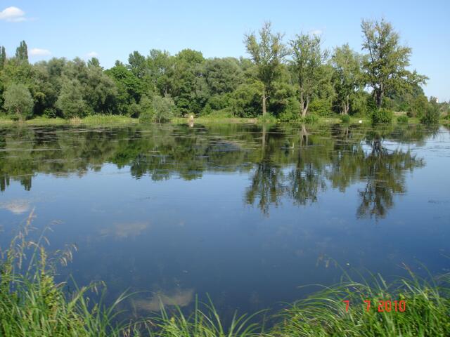 Leinemasch