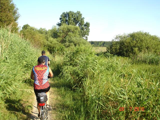 Viel Natur