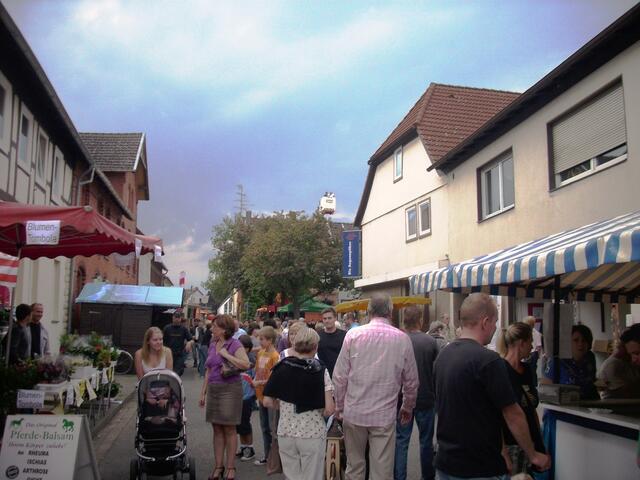 Pferde Balsam neben Grahmann