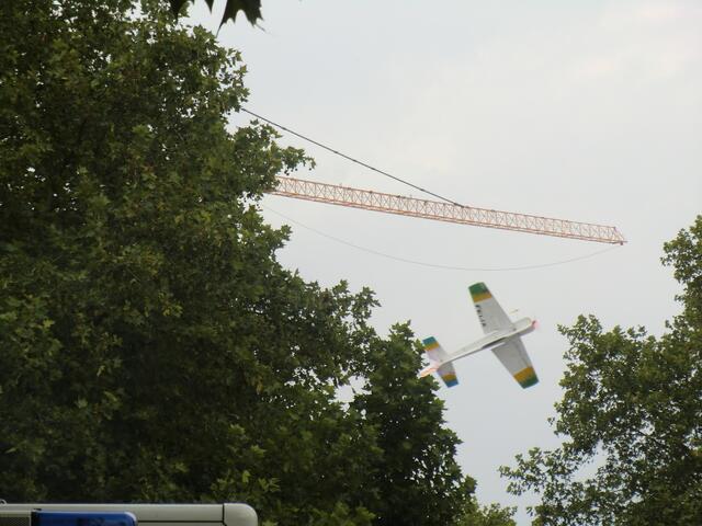 über den Wipfeln-ein Modellflugzeug