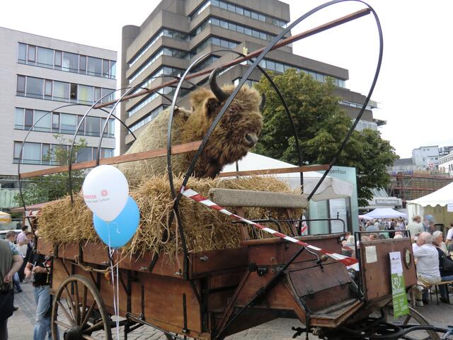 nur ausgestopft aber sehenswert