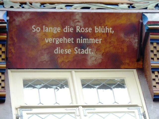 Ich hoffe, dass sie ewig blüht!