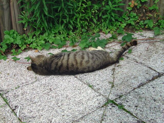 Immer diese Reporter