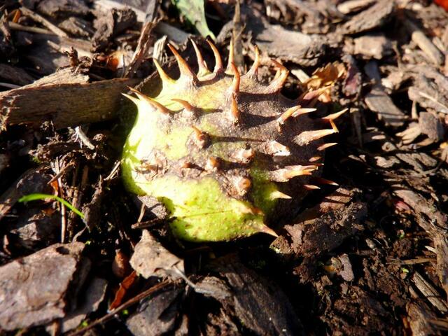 Kunst - "natürlich"