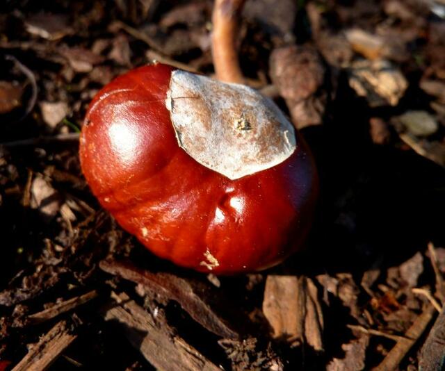 Es IST Herbst! Wenn auch noch nicht auf dem Kalender!