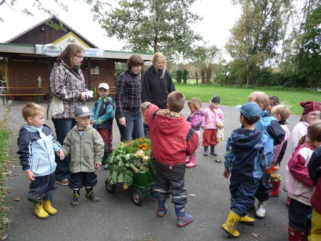 Die Kinder der DRK-Kita Villa Nordstern haben "Geerntet" Die Kita hat an dem Projekt der Siedlergemeinschaft "Glück Auf" teilgenommen: "Kindergartenkinder entdecken die Natur"
