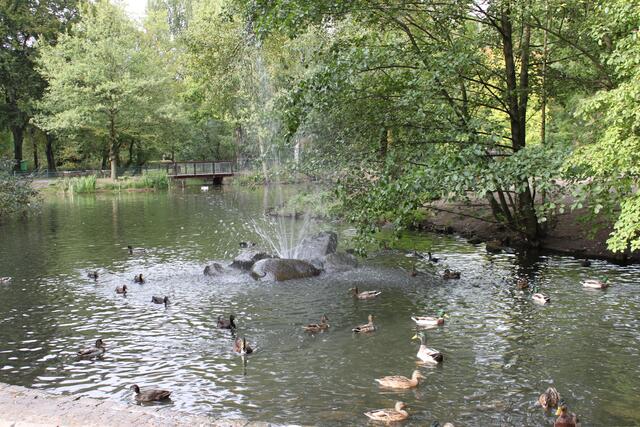 Am Teich ist immer was los