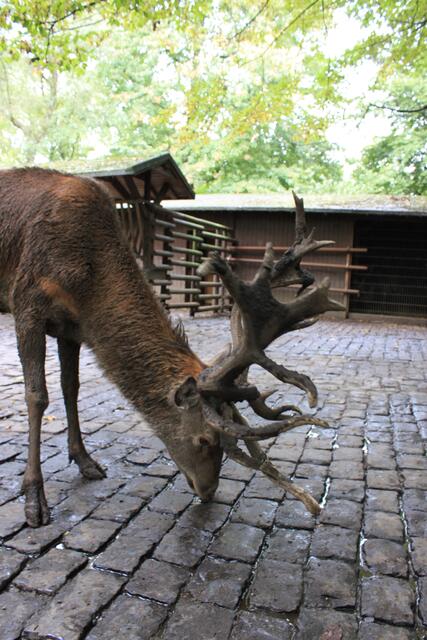 ....damit es so prachtvoll wird