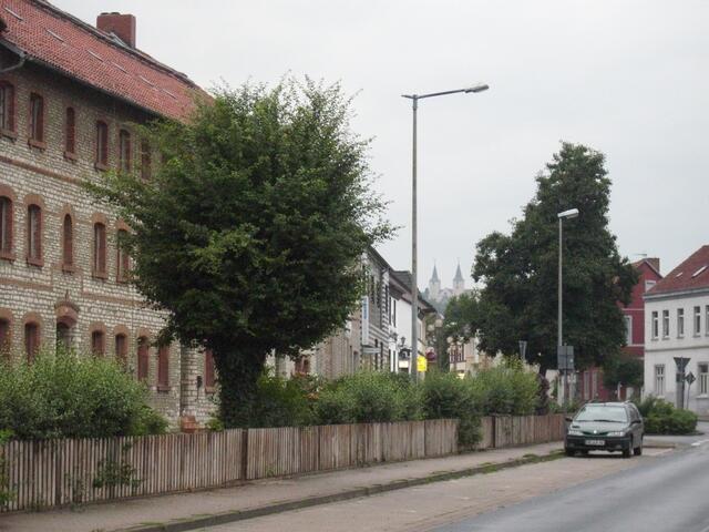 Blick vom Avelsdorfer Weg
