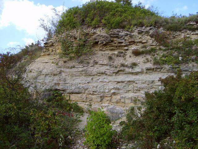 Geologischer Aufschluss Zscheiplitz