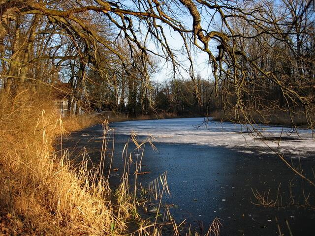 voll Winter mit gefrorenem Altwasser