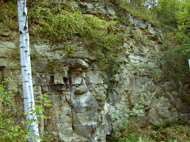 Der alte Steinbruch