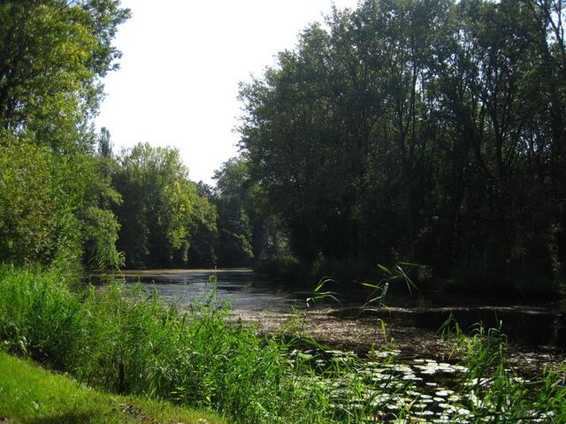 Herbstanfang